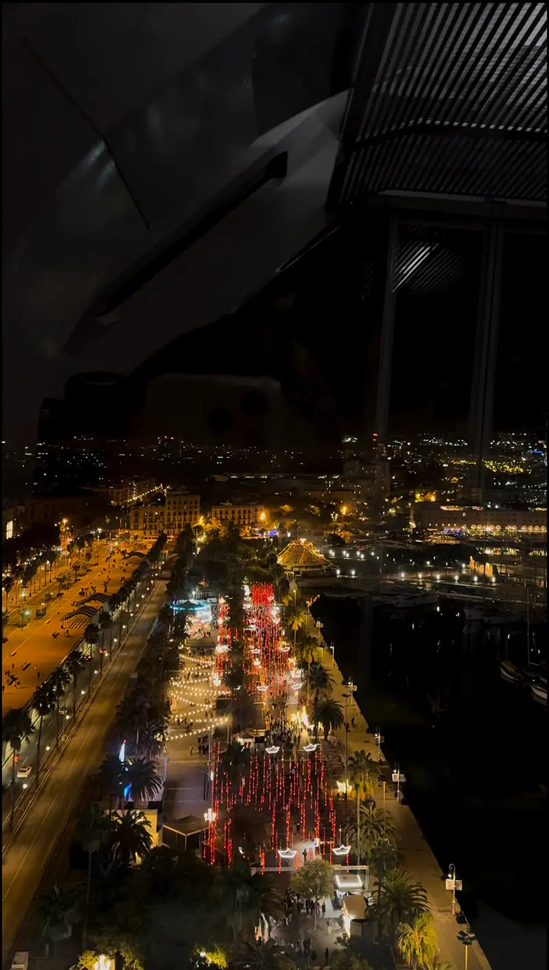 Christmas lights along the waterfront, seen from above at night