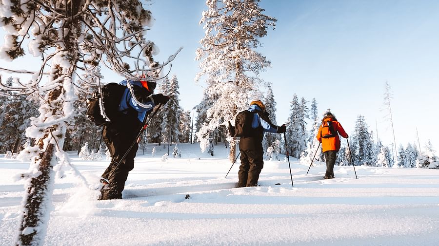 Ski Trekking Safari in Lapland