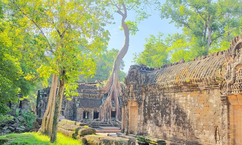 Sambor Prei Kuk & Giant Ibis – UNESCO Temples & Rare Wildlife 7