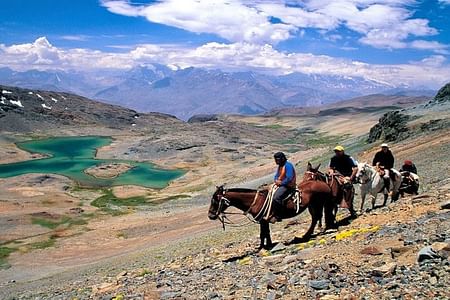 Horseback Riding Adventure and Wine Tasting in Cajón del Maipo