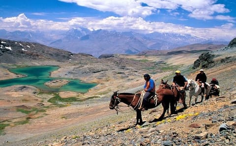 Horseback Riding and Wine Tasting Tour in Santiago, Chile