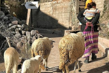 Marrakech to Atlas Mountains Day Trip with Guided Hike