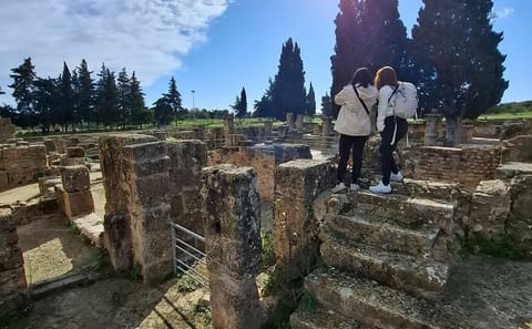 Bizerte and Ichkeul National Park Birdwatching Day Trip from Tunis