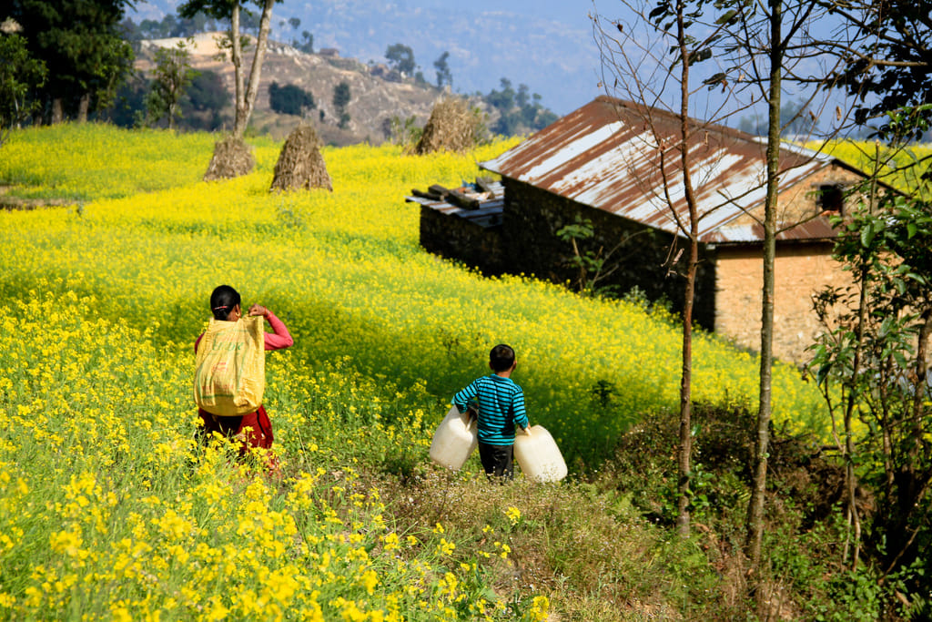 19 Days Mera Peak Climbing & Expedition – One Life-Changing Himalayan Adventure