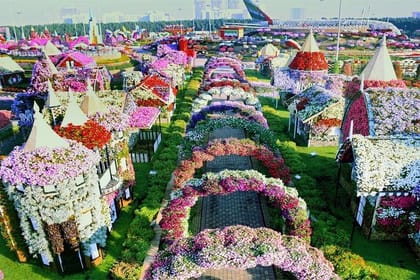 Dubai Cultural Global Village and Miracle Garden Shopping Tour