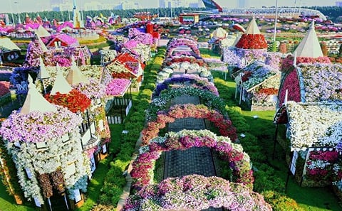 Dubai Cultural Global Village and Miracle Garden Shopping Tour