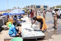 www.Chuttibaaz.com - South India
