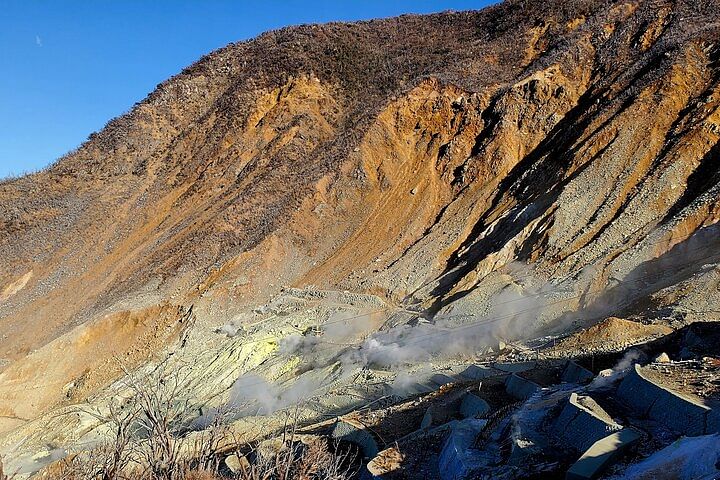 Mt. Fuji and Hakone Private Tour with Bullet Train Return