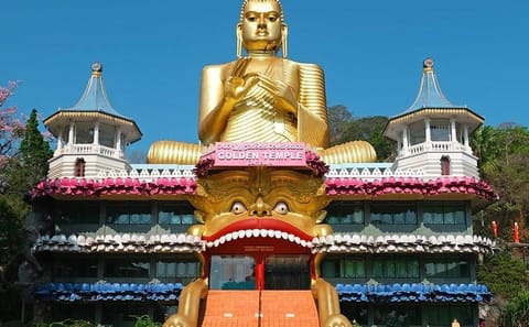 05 Days Glimpse Of Sri Lanka