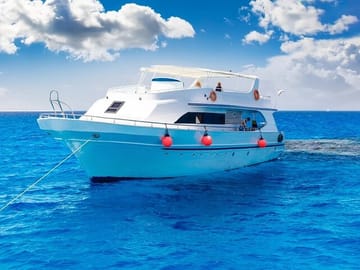 Snorkeling Day Trip to Marsa Mubarak with Dugongs and Turtles