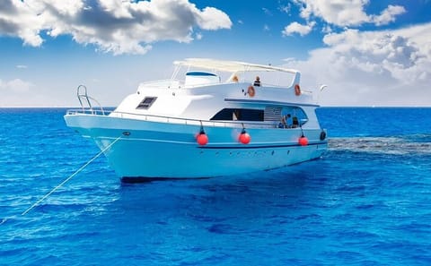 Snorkeling Day Trip to Marsa Mubarak with Dugongs and Turtles