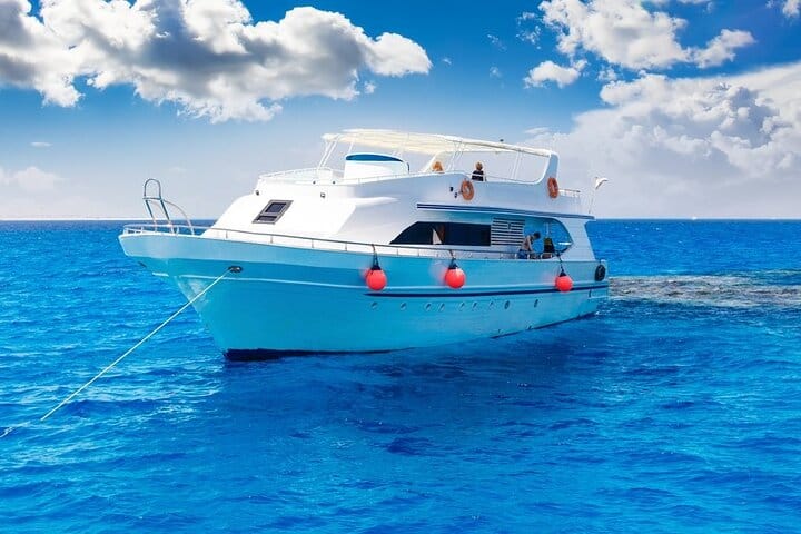Snorkeling Day Trip With Dugong And Turtles Marsa Mubarak By Boat 3