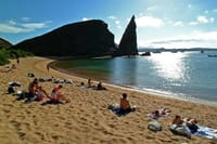 Galapagos Beach