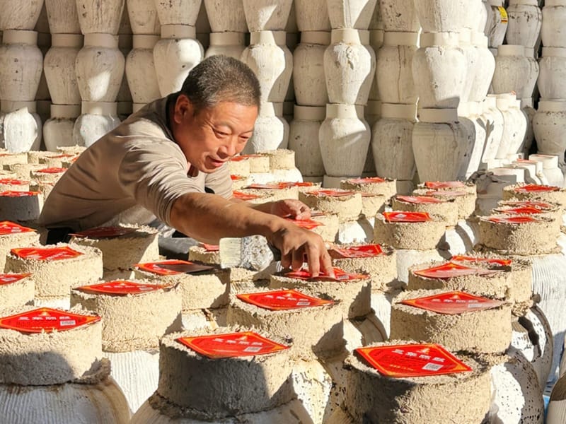 Shaoxing: Yellow Wine Tasting & Ancient Brewery Tour
