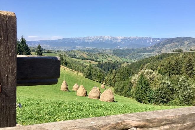 Things to do in Bran