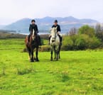 Killarney National Park horseback ride. Kerry. Guided. 2 hours. 2