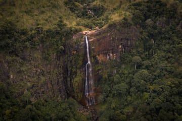 07 Day Nature & Wildlife Tour  In Sri Lanka