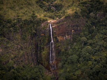 Seven-Day Wildlife Safari Tour in Colombo, Sri Lanka
