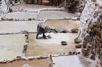 Salt mines of Maras