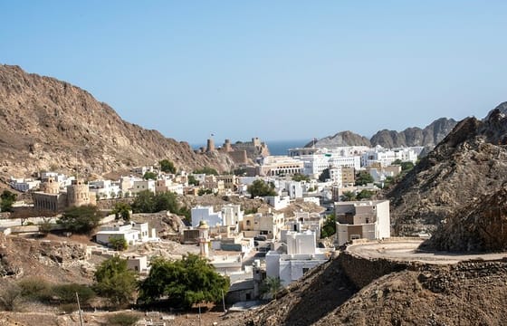 Sightseeing Private Half Day At Muscat
