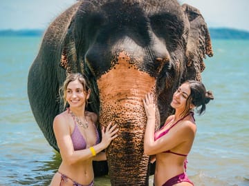 Walking Tour with Elephants at Lily Elephant Camp in Phuket
