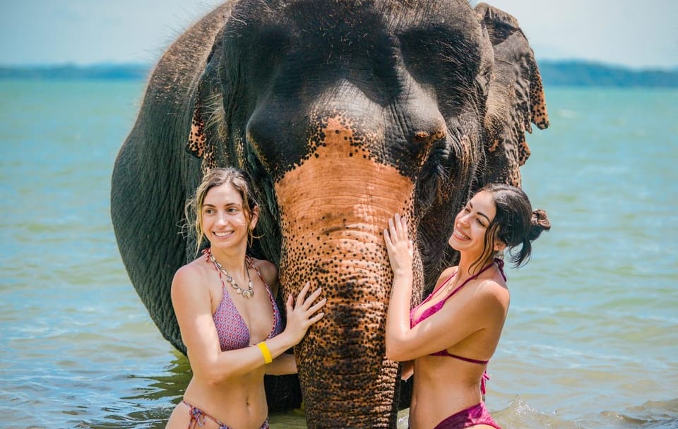 Walking Tour with Elephants at Lily Elephant Camp in Phuket