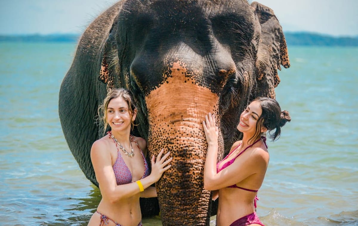 Phuket: Beach Walk with Elephants, Rain & Care