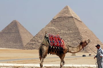 8-Day Cultural Tour of Cairo, Aswan, Luxor, and Abu Simbel