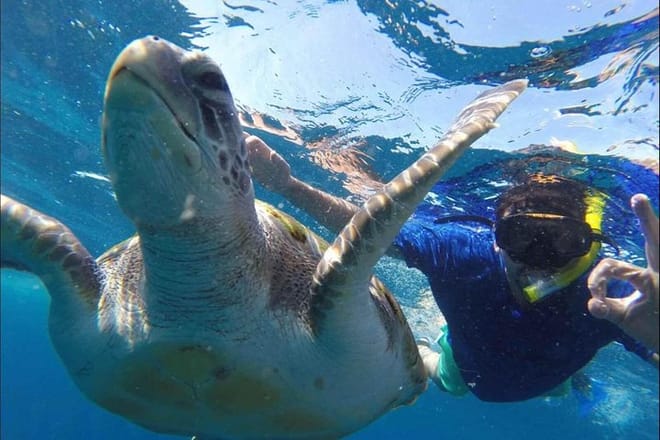Kayaking, Snorkeling & Swimming  9