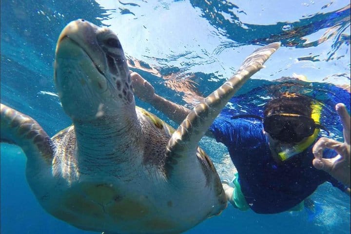 Kayaking, Snorkeling & Swimming  9