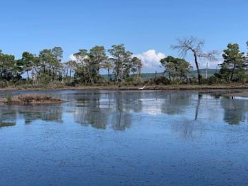 Panoramic view of Karavasta
