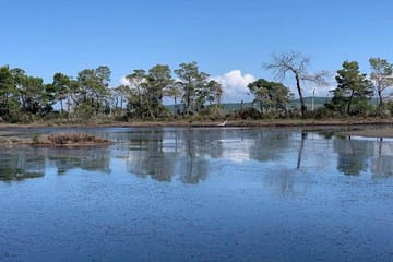 Karavasta Lagoon Boat Trip and Nature Tour from Tirana