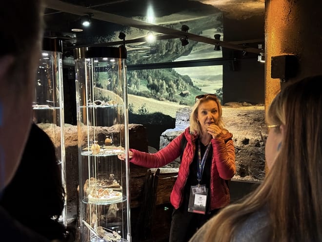 Krakow: Wawel Castle, Cathedral, Lunch & Rynek Underground  10