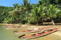 Mangrove and Beach Kayak Tour BY PARATY TOURS 10