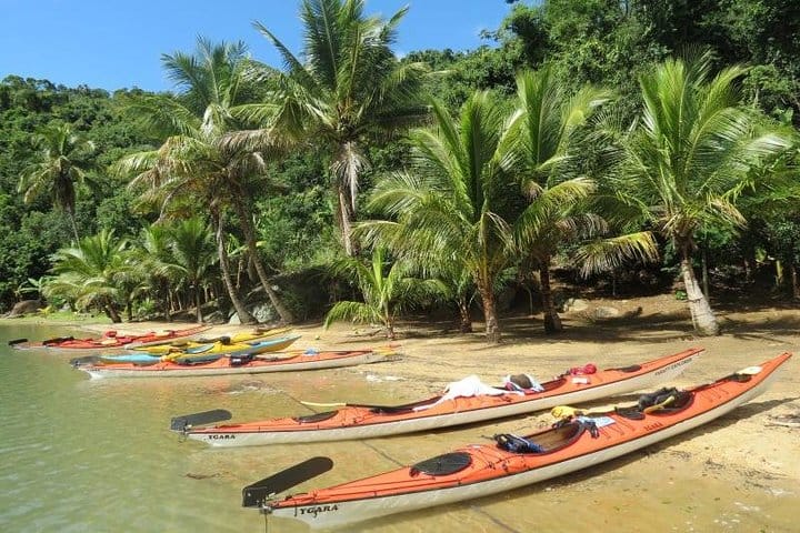 Mangrove and Beach Kayak Tour BY PARATY TOURS 10