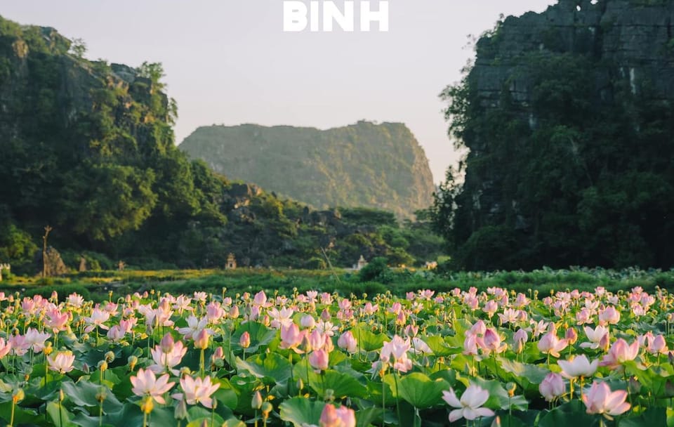 Cultural Highlights Tour of Hanoi and Ha Long Bay