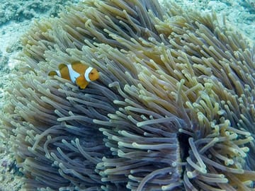Private Tour :  3 Days Tour Package with snorkeling