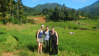Heeloya Village Tour from Kandy 6