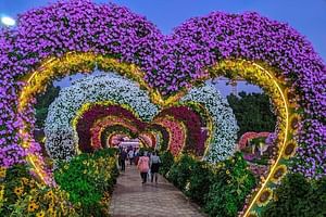  Miracle Garden Ticket