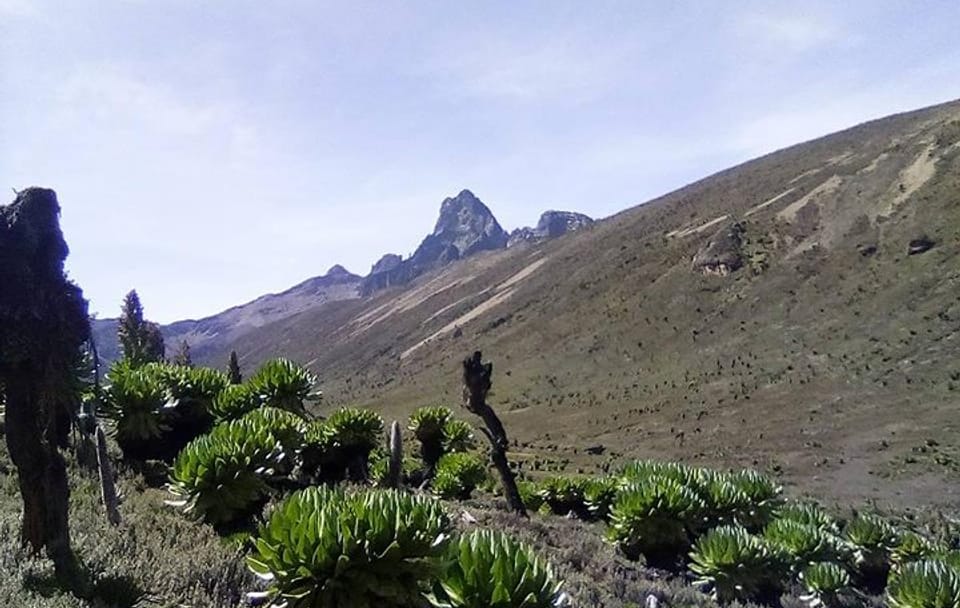 Mount Kenya Trekking Through Sirimoni-Chogoria Route