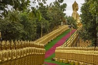 Phnom Tamoa Wildlife Rescue Center & Buddha Kiri Cambodia Day Tour 5