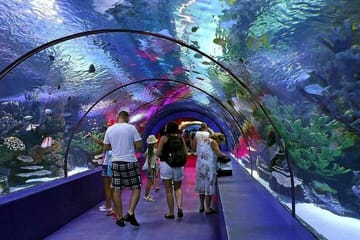 Antalya Aquarium and Fun Park Tour with Hotel Pickup