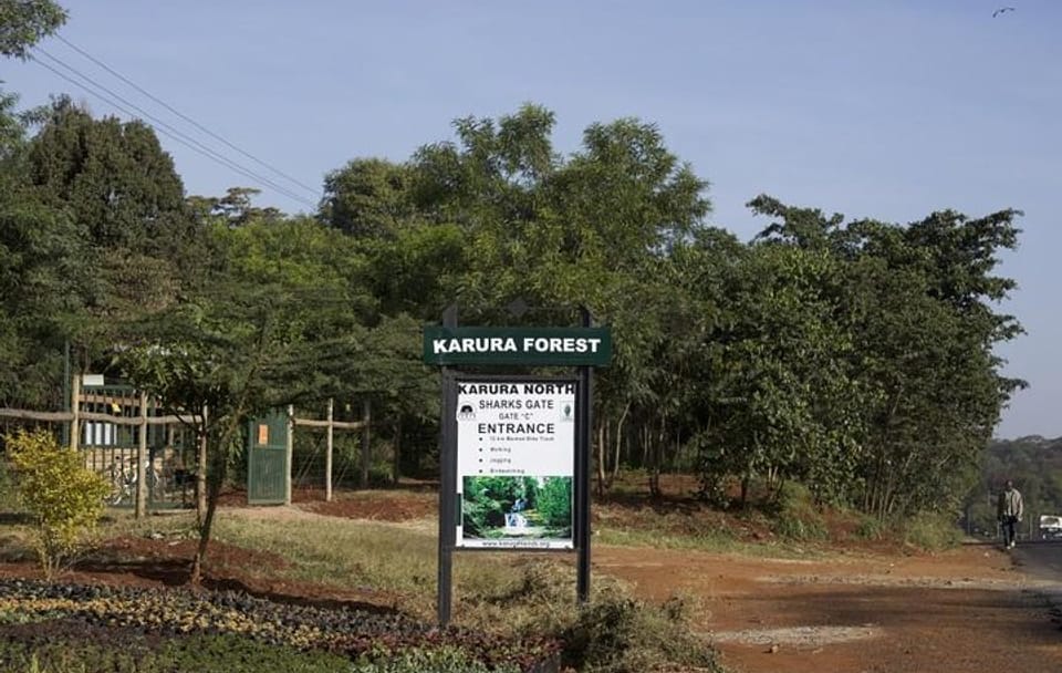 Karura Forest Bike and Walking Tour in Nairobi