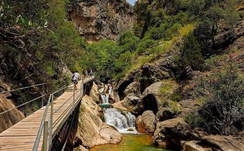 Sapadere Canyon Day Tour from Alanya with Lunch Included