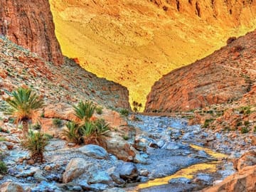 Private 4WD Sahara Adventure Tour from Marrakech to Fez
