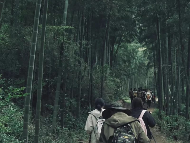 Hangzhou: Changxing Bamboo & Bayberry Private Day Trip