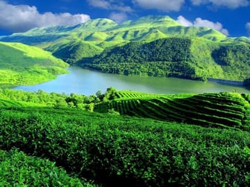 Private Guiyang Day Tour Qingyan Ancient Town and Qianling Park