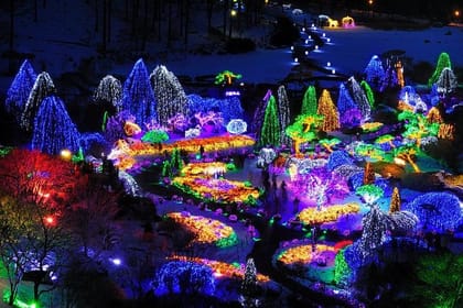 All Day Private Make your own plan tour to Nami Island and others