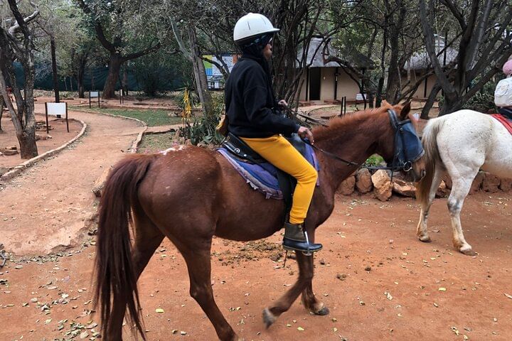 Group enjoying eco-friendly Horse Safari Johannesburg tour near wildlife reserve