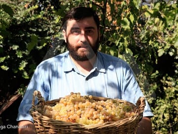Wine Tours in Georgia – Old Traditional Kvevri Winemaking Method